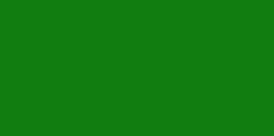 pricer-green-color