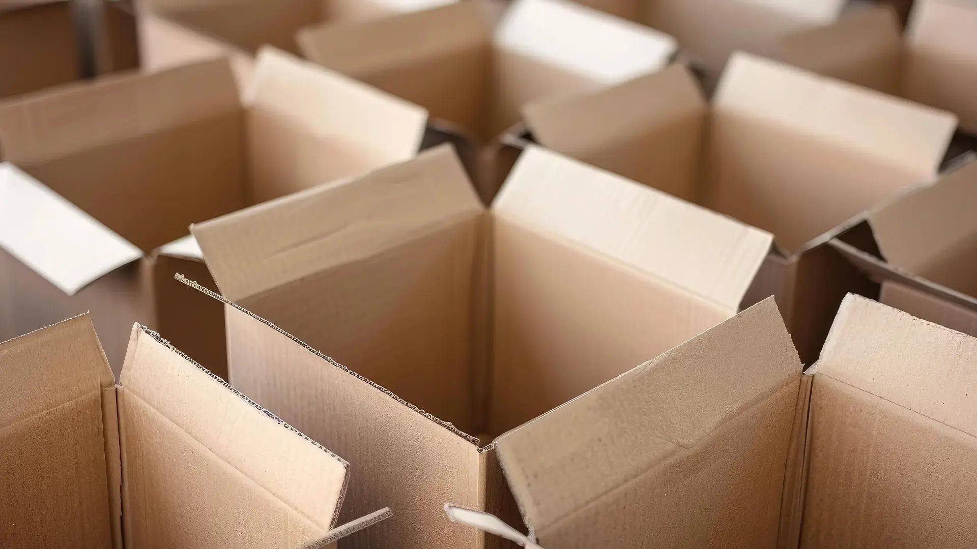 Sustainability-Circularity