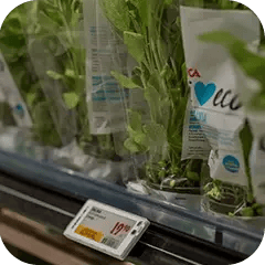 Sustainability-webinar-square